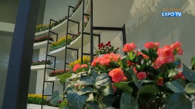 Как вырастить растение без грунта и солнца? смотреть онлайн