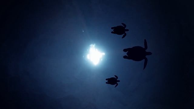 Бесподобная музыка, она завораживает и чарует. Unmatched music, it bewitches and enchants. смотреть онлайн