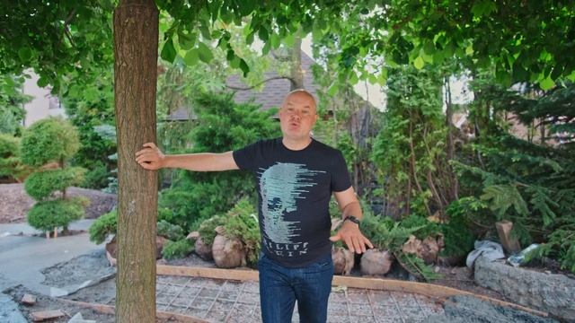 БЕТОННЫЕ ДОРОЖКИ / КАК СДЕЛАТЬ КРАСИВЫЕ БЕТОННЫЕ ДОРОЖКИ смотреть онлайн