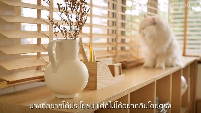 จัดระเบียบตู้เย็น ❄️ | ทำอาหารกินเอง ? | คะน้าน้ำมันหอย | แหนมผัดไข่ | น้ำแตงกวาเลม่อน ? | VLOG смотреть онлайн