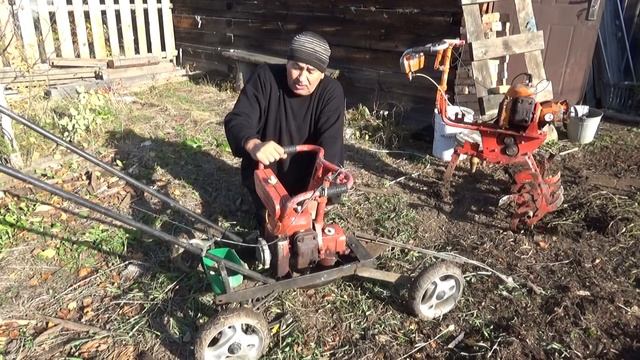 Повышаем плодородие почвы с помощью сидератов