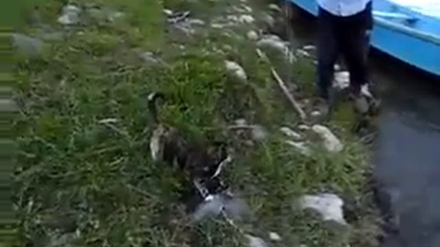 Красноярский край рыбалка, Вот где много рыбалки! смотреть онлайн