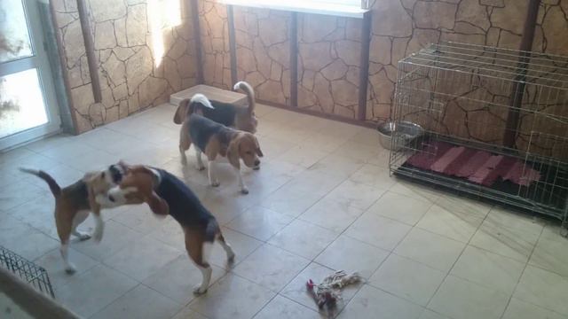 21 марта 2016 г. смотреть онлайн