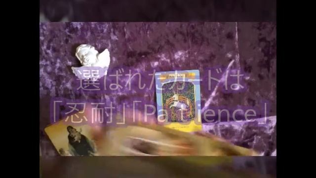 celeste7s weekly oracle 8/15~8/21 смотреть онлайн