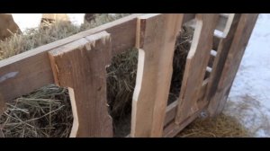 Сенник для коз!