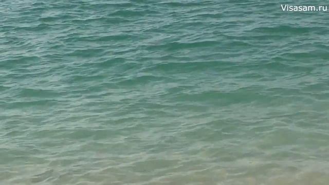 Лучшие пляжи Абу-Даби в ОАЭ Карниш и Сааядит 2022: почему люди не купаются зимой в декабре и январе смотреть онлайн