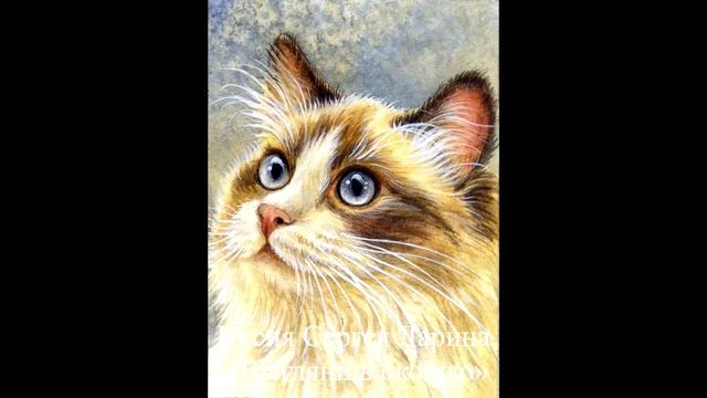 Марта Носова не похожа на эту кошку смотреть онлайн