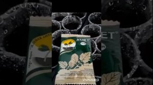 АТЛЕТ ДЛЯ КРЕПКОЙ РАССАДЫ