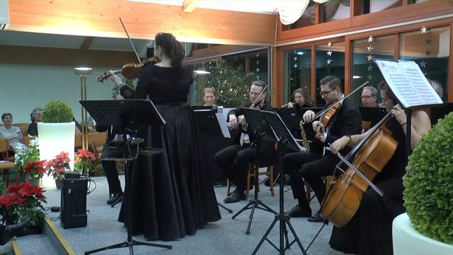 Doina Fischer/Fliegermarsch von Nico Dostal смотреть онлайн