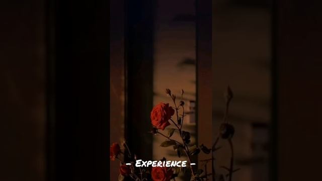 Experience - Ludovico Einaudi || [ 30 Minutes ]