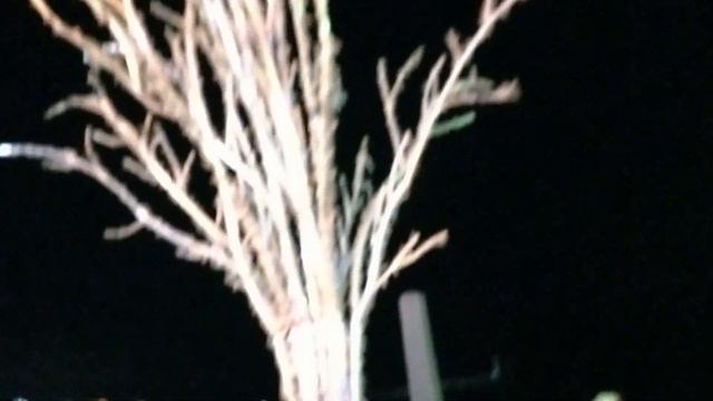 ПРо100 5*. Ночная Ялта/Прогулка по украшенной к Новому году ночной Ялте смотреть онлайн