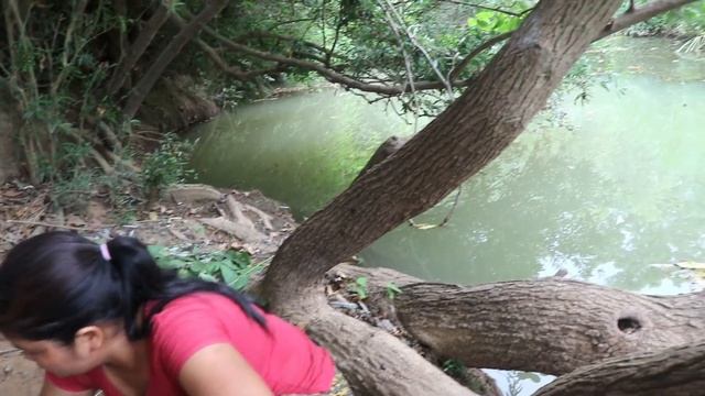 Primitive In forest one - woman finding See Sweet potatoes - Cook Sweet potatoes Eating delicious смотреть онлайн