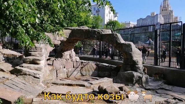 Московские гуляния, Зоопарк смотреть онлайн