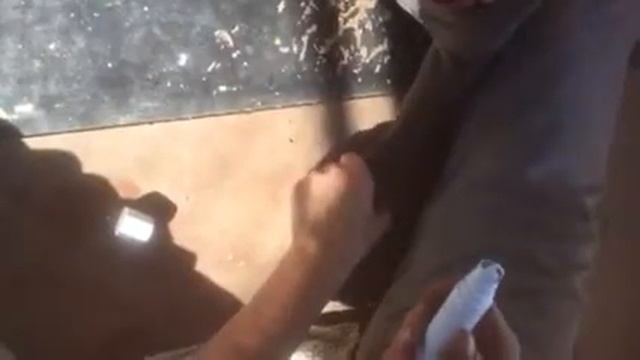 Almago pet nail grinder review смотреть онлайн