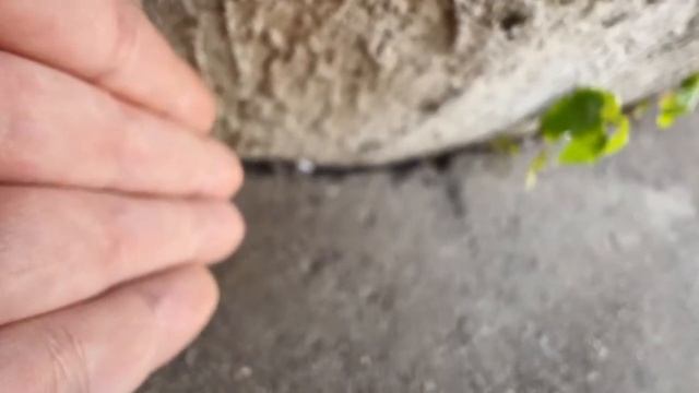 Чат опять писает Хозяева легенда парадевич плохой парень смотреть онлайн