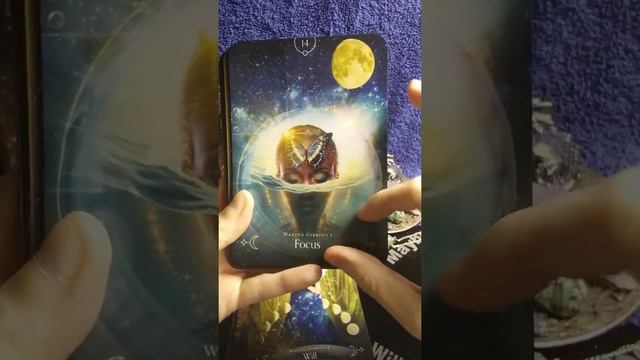 Deck review: Queen of the Moon Oracle смотреть онлайн