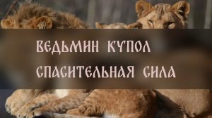 ВЕДЬМИН КУПОЛ. СПАСИТЕЛЬНАЯ СИЛА ▴ ВЕДЬМИНА ИЗБА. ИНГА ХОСРОЕВА