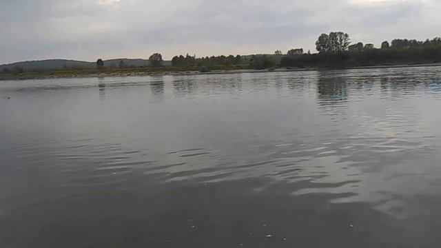 рыбалка на Томи. окунь на уокер 1 смотреть онлайн