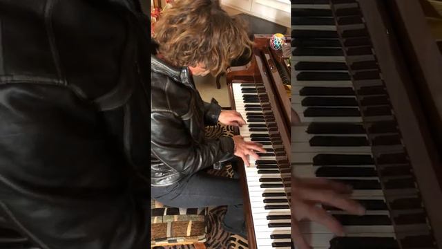 Mozart 25th Symphony, First Movement, Piano Transcription