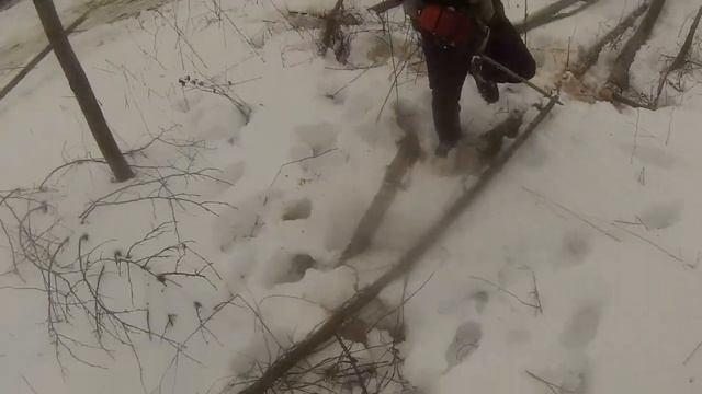 Китайский Stihl 341 на валке Берёзы и Ольхи. Китай ЦПГ и Карбюратор смотреть онлайн