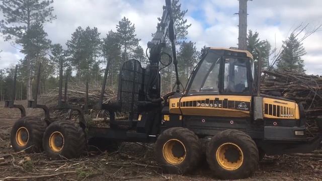 2010 Ponsse Buffalo King Double Bunk Forwarder смотреть онлайн