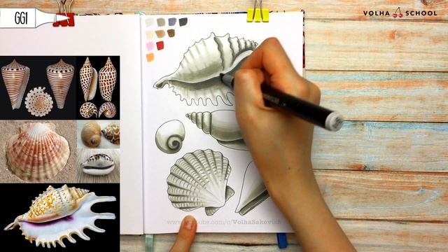 Как нарисовать ракушки на песке? / Видео-урок по рисованию маркерами #84 смотреть онлайн