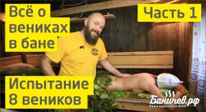 Веники для бани. Испытываем 8 разных веников на Фее. Ароматерапия бани Баничев. Чать 1