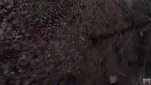 Охота на вальдшнепа! Вечерняя тяга вальдшнепа Ч.2 смотреть онлайн