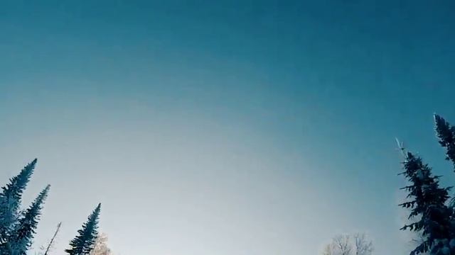 Barsuk смотреть онлайн