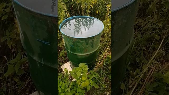 Огурцы.Как нагреть воду для полива Огурцов смотреть онлайн