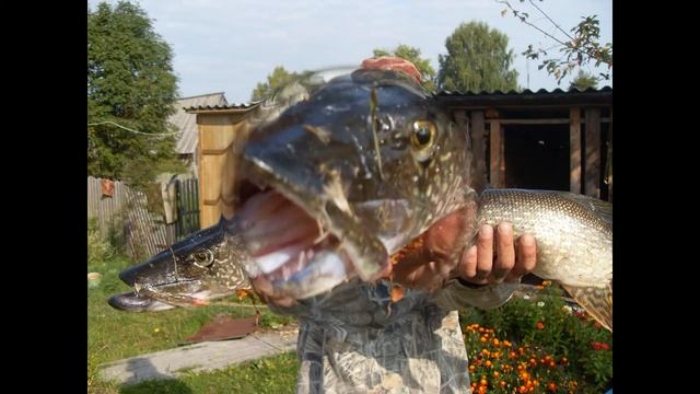 Рыбалка на берегу реки Ветлуга