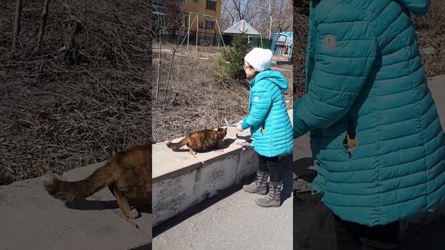 Новый друг! Сначала не лады после видео друг смотреть онлайн