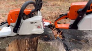 Бензопила STIHL MS 230,250 & STIHL MS 231,251 Чем они отличаются друг от друга???