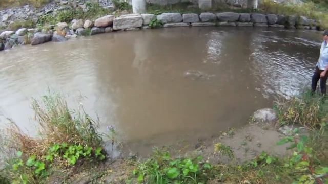 Fly Fishing - Chinook Salmon Fight | Tributaries in Ontario Canada.mov смотреть онлайн