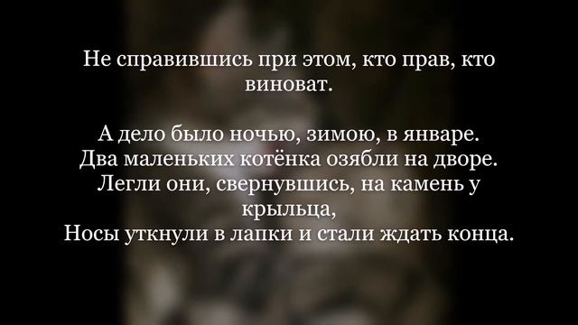 Стих '' Котята '' Автор Самуил Маршак смотреть онлайн
