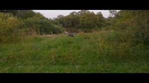 Восстановление нивы своими руками за 8 месяцев! Тест драйв 4000 км!