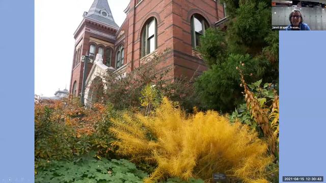 Let's Talk Gardens, Draper’s Dozen: Top Perennial Performers in Smithsonian Gardens смотреть онлайн