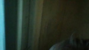 вызов диспетчера лифт застрял после проверки реверса