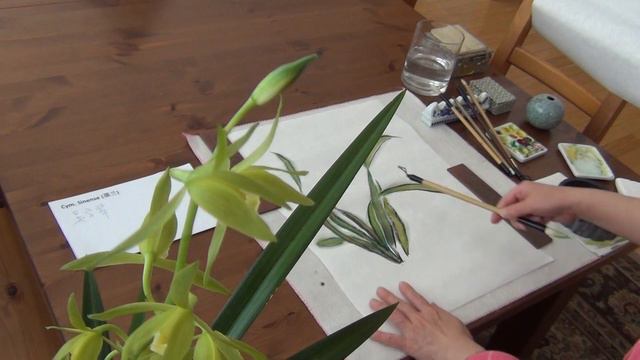 Painting Cymbidium Sinense Orchid with Victoria 03042020 смотреть онлайн