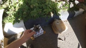 Опель Зафира В 2013 г.в.-1.8-140 л.с. проблема закипания антифриза