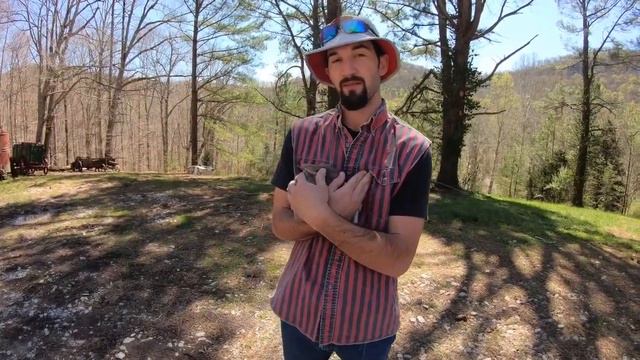 Episode 8 Mr. Ambrose and the Anaconda! смотреть онлайн