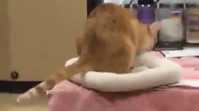 когда все свое носишь с собой смотреть онлайн