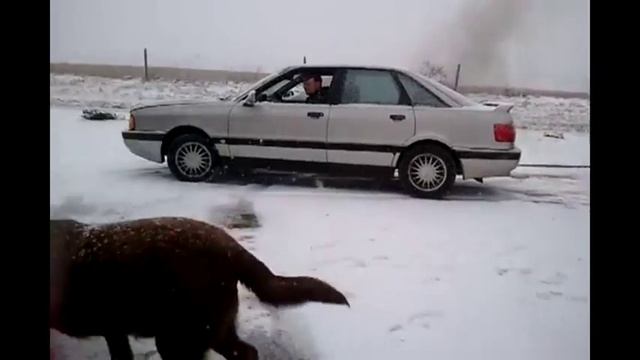 1988 audi 90 quattro diesel redneck car pull смотреть онлайн