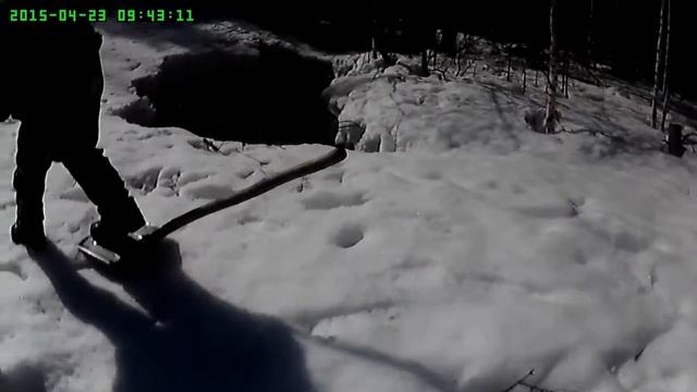 На Ямахе к Медведям в гости смотреть онлайн