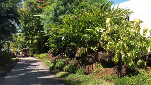 FOUR SEASONS RESORT MAURITIUS AT ANAHITA 5*. 4K VIRTUAL TOUR. смотреть онлайн