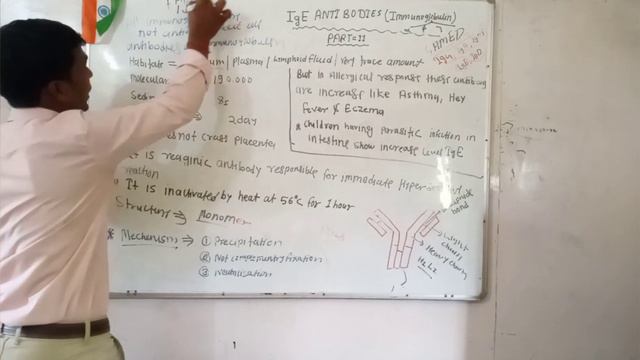 What is a IgE Antibodies (immunoglobulin) Fuction #structure#mechenism#By DRx AAKASH sir смотреть онлайн