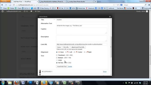 Turnkey Option - Custom Wordpress Web site смотреть онлайн