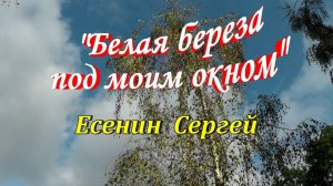 Стихотворение "Белая береза под моим окном"  Есенин Сергей