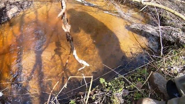 ЗАБРАЛ КУСОК ТРУБЫ.ЛЕСНЫЕ ГРИБЫ. смотреть онлайн