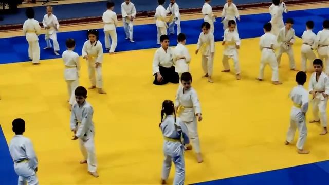 Фестиваль айкидо 2017 смотреть онлайн